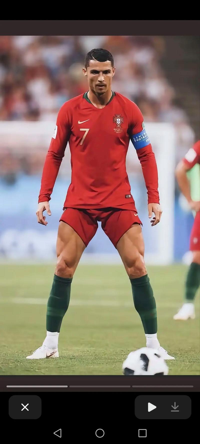 与努
